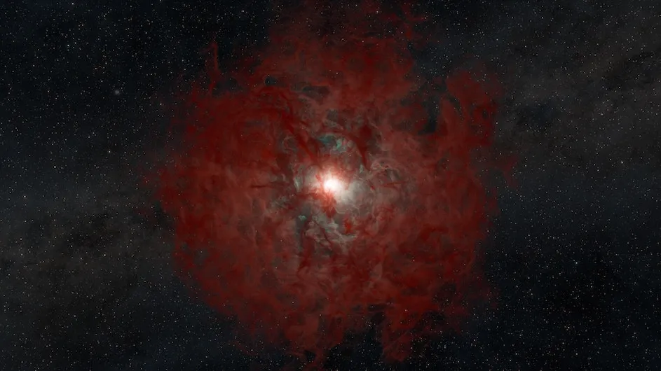 The image shows a shell of thick gas and dust (red) expelled from the outer layers of a star as its core collapsed into a black hole. The inner regions show a heated ball of gas (white) continuing to fall into the central black hole. (Credit: Keith Miller, Caltech/IPAC - SELab)